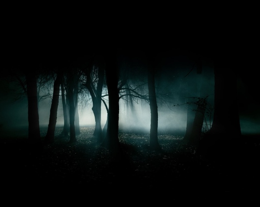 UNA NOCHE DE DOLOR Dark-forest-night-image-31002
